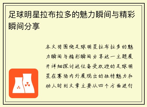 足球明星拉布拉多的魅力瞬间与精彩瞬间分享